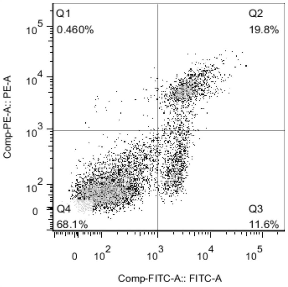 Recombinant Abundant Protein in Late Stage of Embryo Development and Antifreeze Solution Containing It