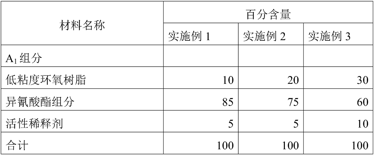 Concrete coating protecting system and construction method
