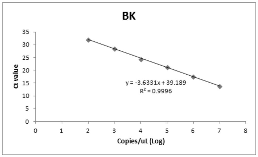 Primer group and probe group capable of simultaneously detecting BK virus and JC virus, and purpose