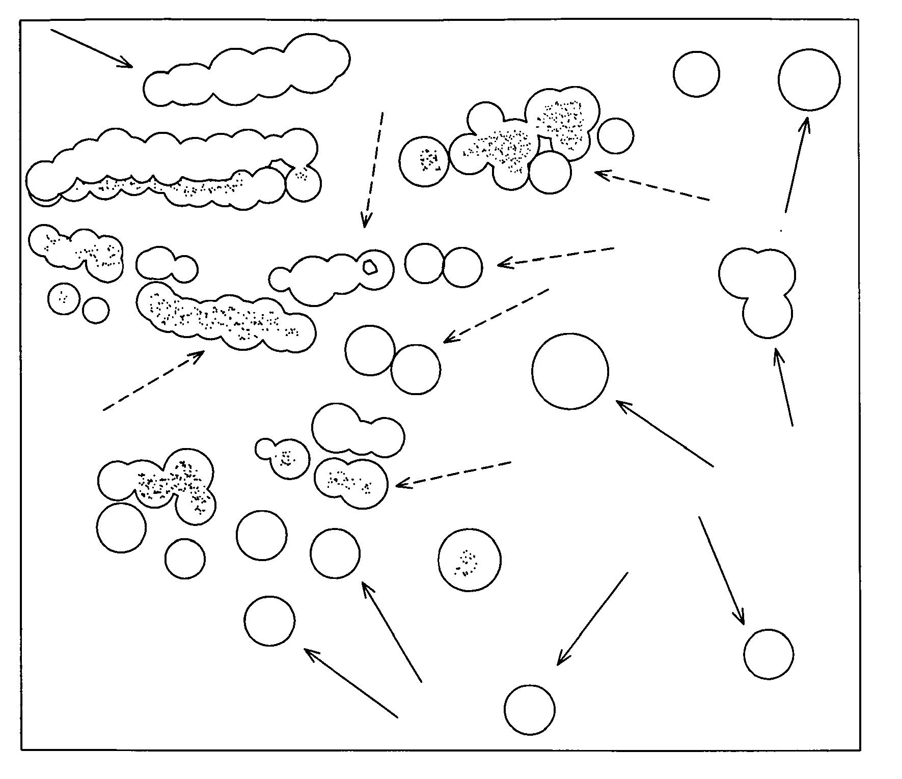 Global transcription machinery engineering targeting the rnap alpha subunit (RPOA)