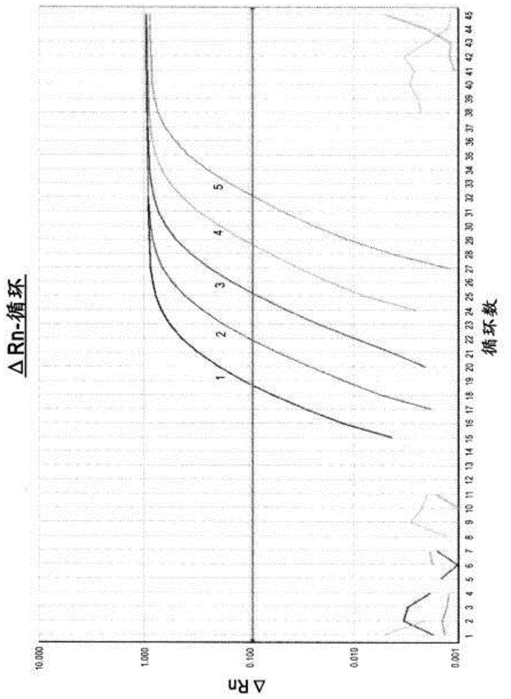 Quantification method for expression level of WT1 mRNA