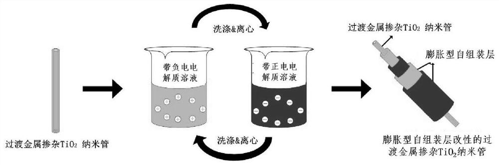 Preparation method of metal-doped TiO2 nanotube modified by expansion type self-assembly layer