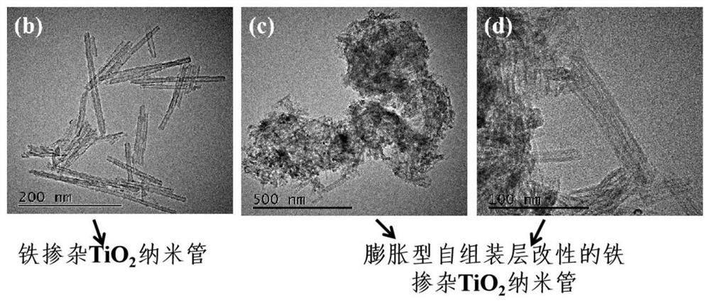 Preparation method of metal-doped TiO2 nanotube modified by expansion type self-assembly layer