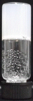 Preparation of Supramolecular Hydrogels Using Amphiphilic Small Molecules Based on Cholesterol and Phosphocholine