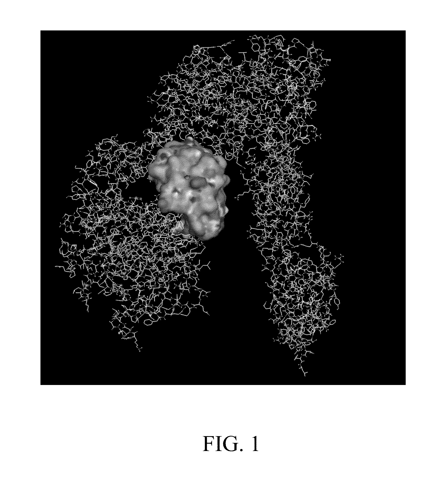 Polypeptides, nucleic acid molecule encoding polypeptides, and uses of polypeptides