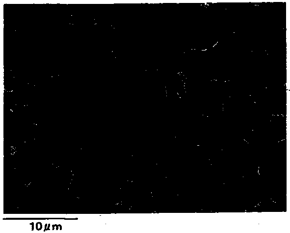 Surface-treated steel sheet on which particulate tin is deposited and resin-coated steel sheet