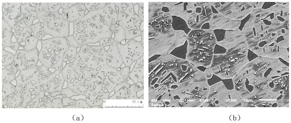 An etchant for scanning electron microscope observation and energy spectrum analysis of σ phase and its application method