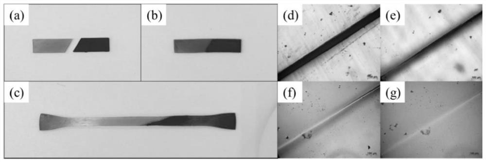 Preparation method and application of photo-cured polyurethane with self-healing property and shape memory property