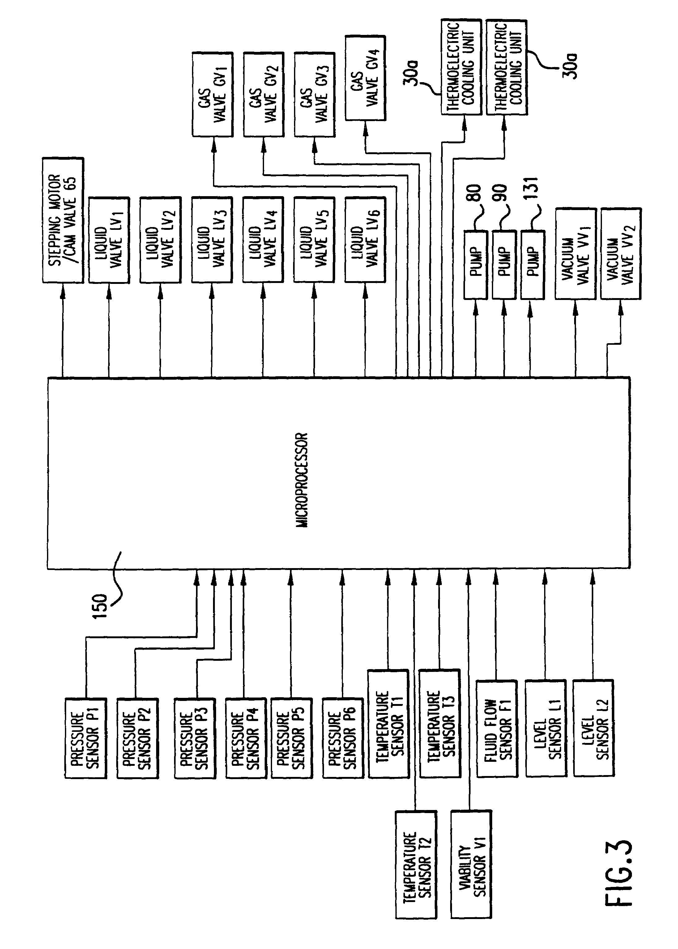 Method for maintaining and/or restoring viability of organs