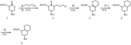 6-tert-butyloxycarbonyl octahydro-2H-pyran[3,2-c]pyridine-8-carboxylic acid synthesis method