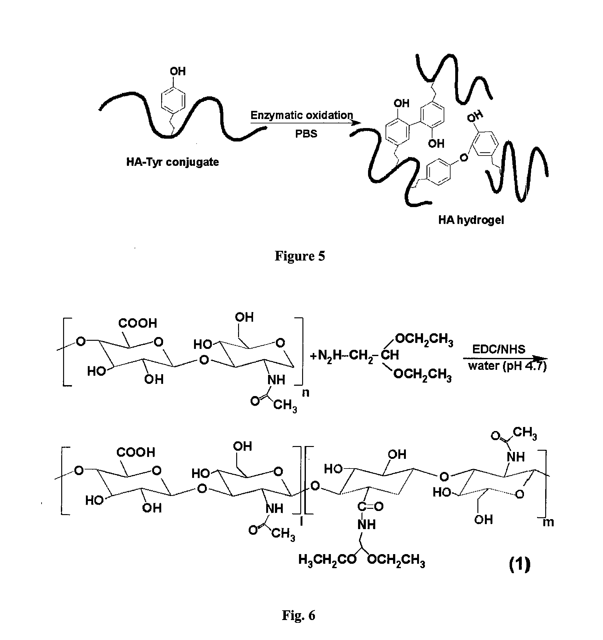 Curable Bone Cement