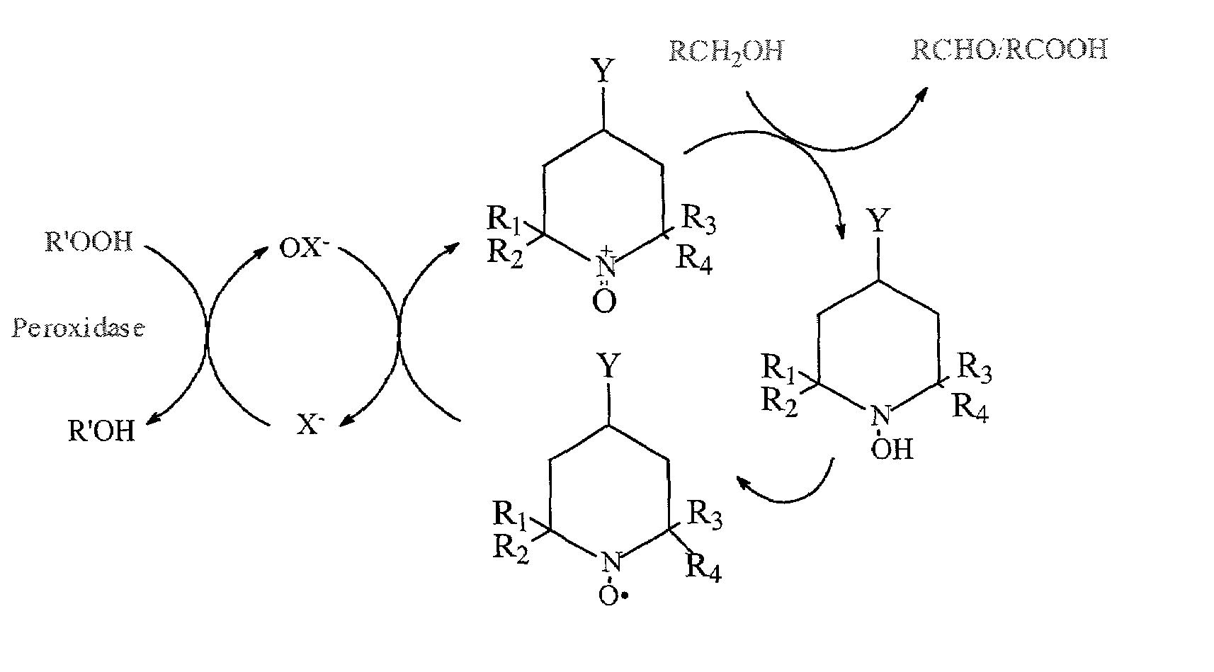 Process for the selective modification of carbohydrates by peroxidase catalyzed oxidation