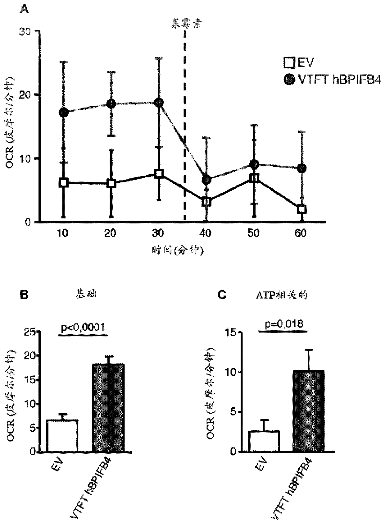 Vtft isoform of a bpifb4 protein for use in neuronal diseases and injuries