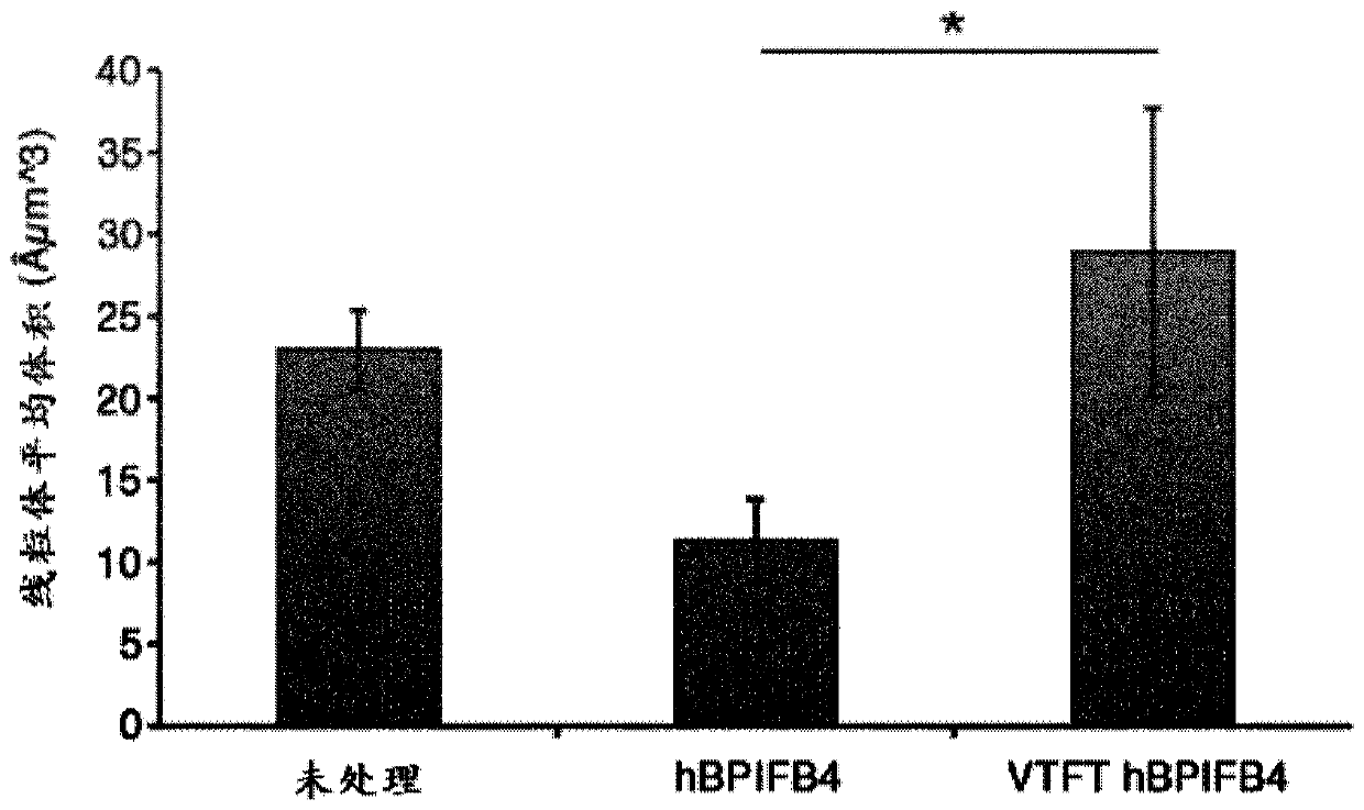 Vtft isoform of a bpifb4 protein for use in neuronal diseases and injuries