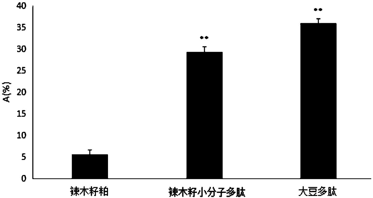 Moringa seed micro-molecule polypeptide and preparation process thereof