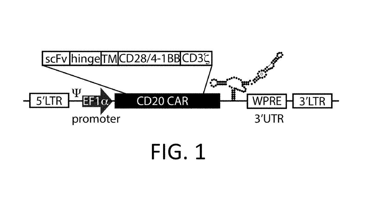 Gold optimized CAR T-cells