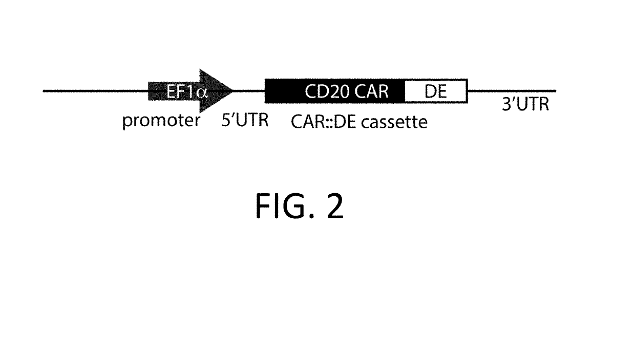 Gold optimized CAR T-cells