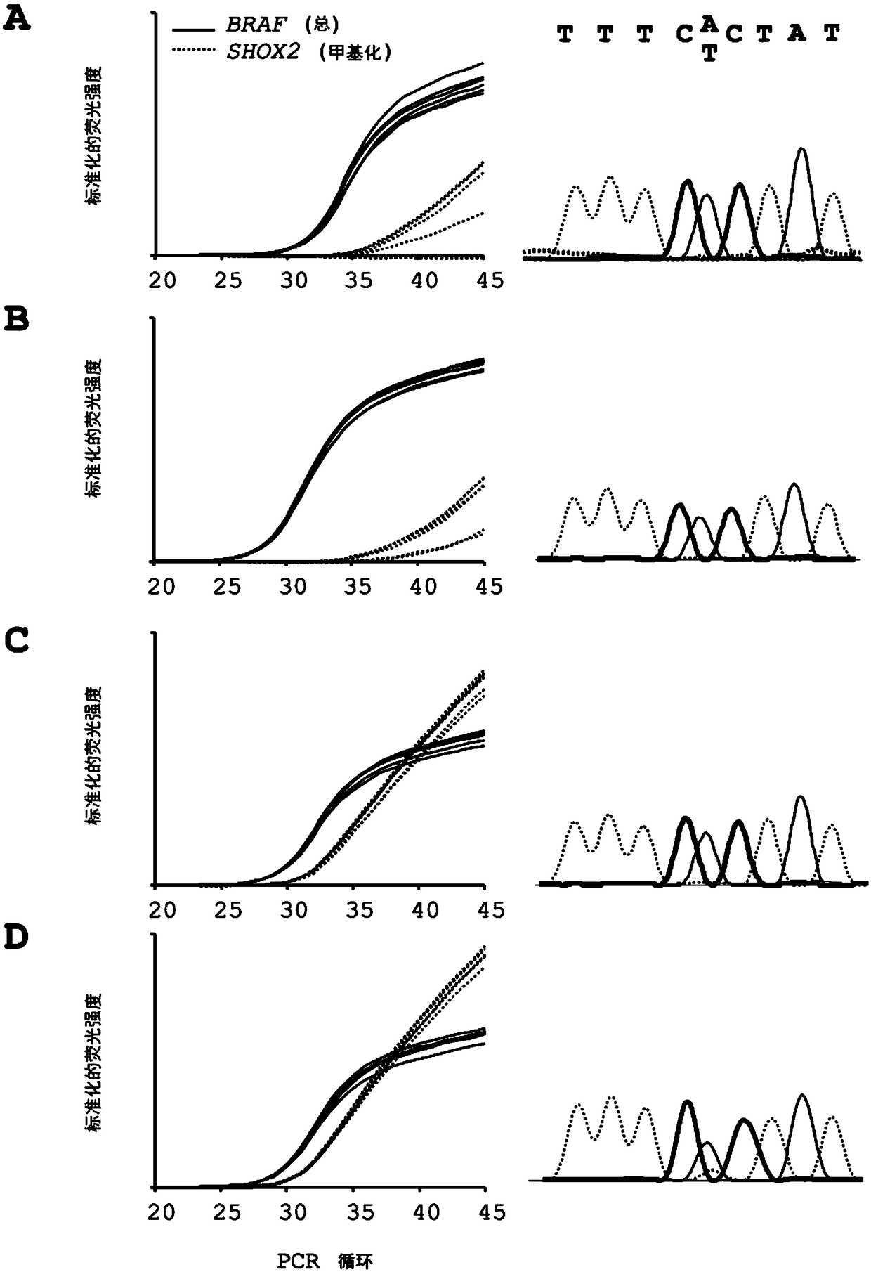 Method for determining a mutation in genomic dna, use of the method and kit for carrying out said method