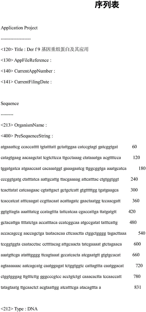 Dermatophagoides farina allergen Der f9 gene coded protein and application thereof