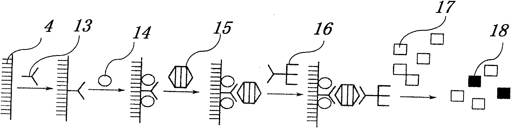 Biochemical detection method and device for dentin phosphoprotein