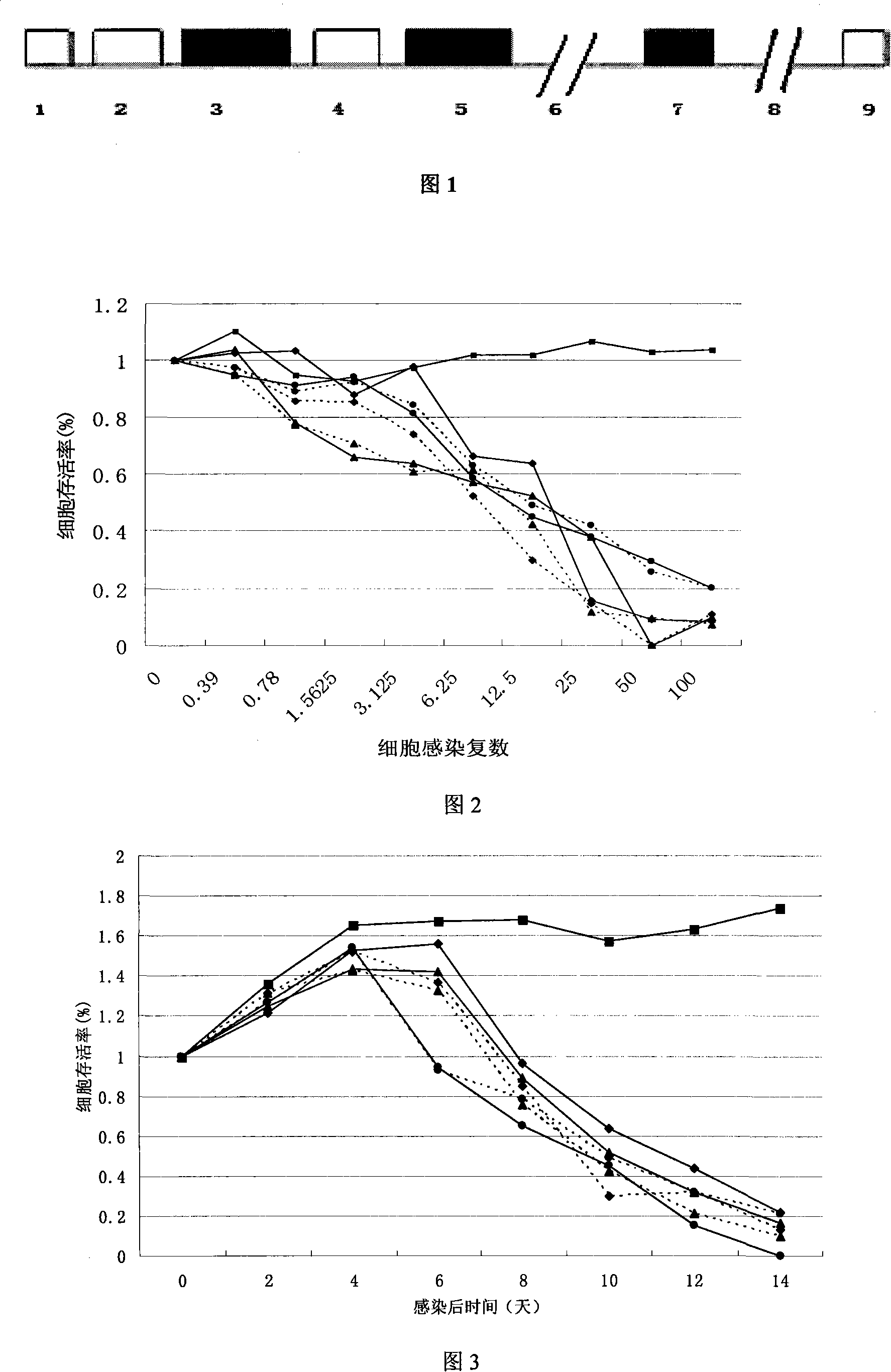 Method for regulating and controlling adenovirus protein by double promoter and use thereof