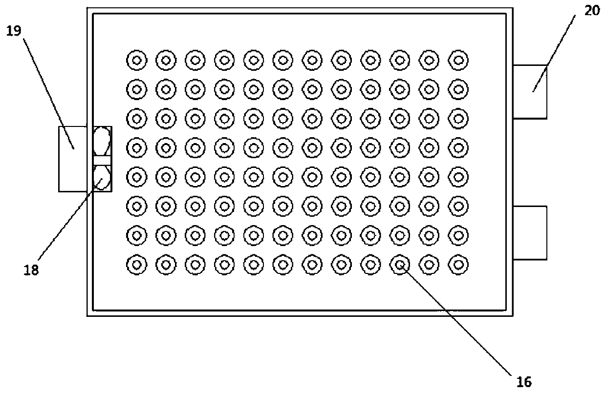 Fluorescence detection device for DNA (deoxyribonucleic acid) repeat sequences