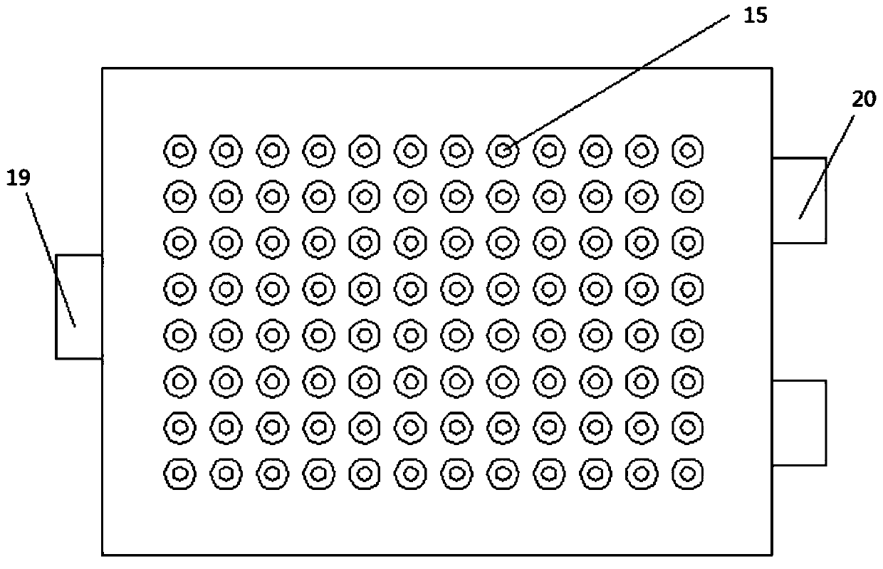 Fluorescence detection device for DNA (deoxyribonucleic acid) repeat sequences