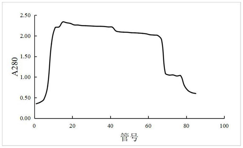 Method for inducing tenebrio molitor to produce antibacterial peptide, preparation method of tenebrio molitor antibacterial peptide and application of tenebrio molitor antibacterial peptide