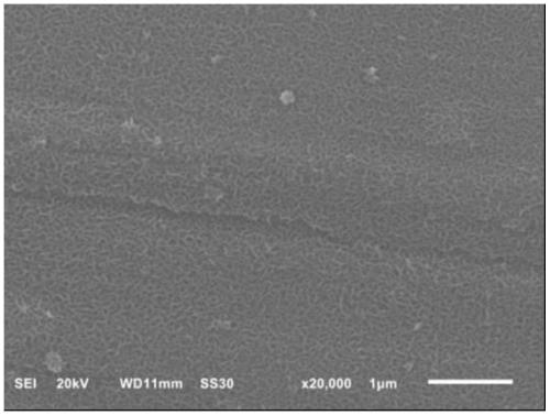 A preparation method of zirconia/polylactic acid-glycolic acid copolymer anti-corrosion hybrid coating based on atomic layer deposition