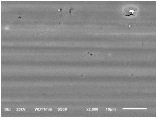 A preparation method of zirconia/polylactic acid-glycolic acid copolymer anti-corrosion hybrid coating based on atomic layer deposition