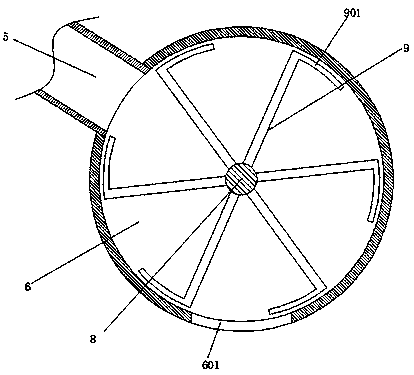 Automatic feeding and water-removing device for chrysanthemum tea processing