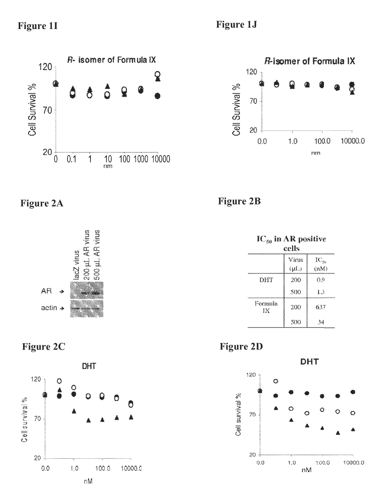 Method of treating her2-positive breast cancers with selective androgen receptor modulators (SARMS)