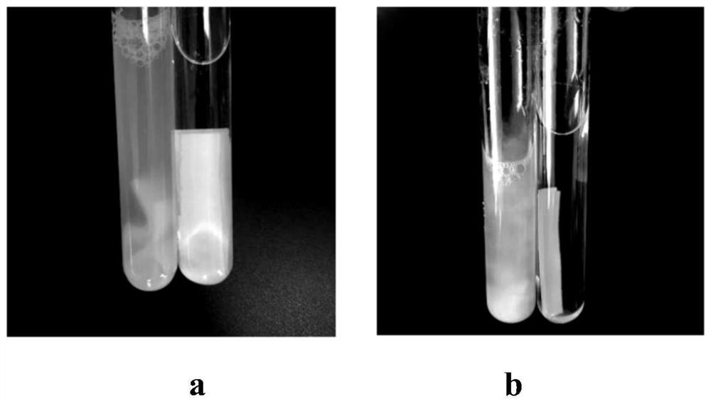 Composite microbial agent for fermenting and degrading cellulose in straw