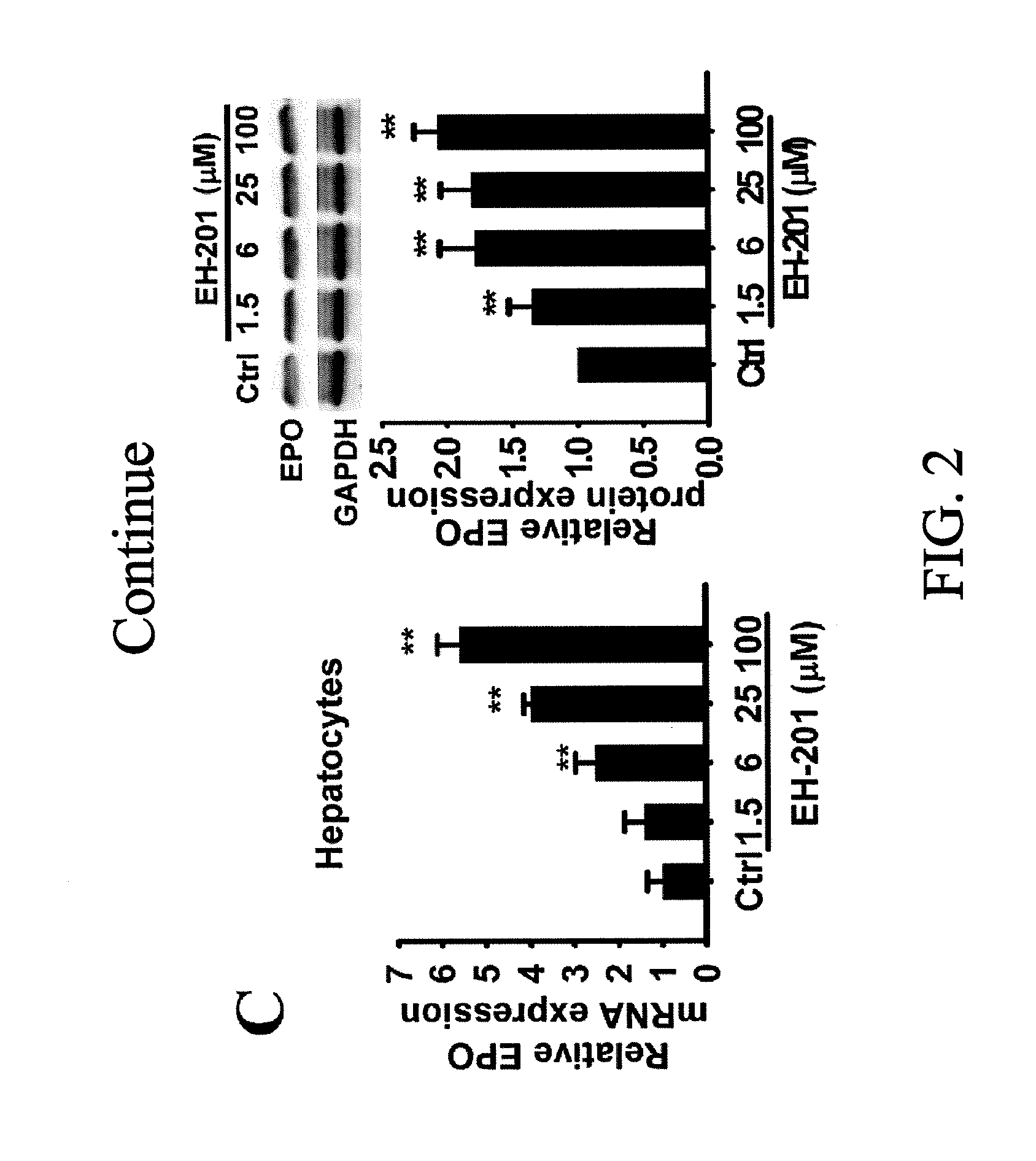 Composition and method for inducing EPO-mediated haemoglobin expression and mitochondrial biogenesis in nonhaematopoietic cell