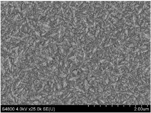 Superfine nanocrystalline diamond precision tool and manufacturing method thereof