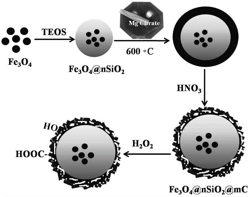 In-situ MgO template preparing method and application of magnetic mesoporous carbon nanospheres with high adsorptive property
