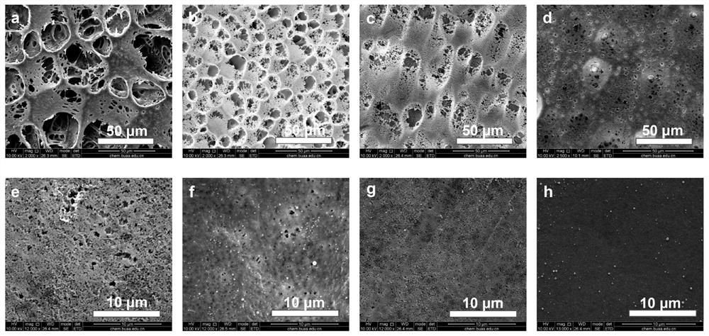 A kind of hydrophilic monolayer porous film and its preparation method and application