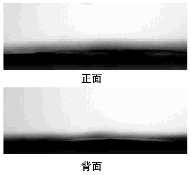 A kind of hydrophilic monolayer porous film and its preparation method and application