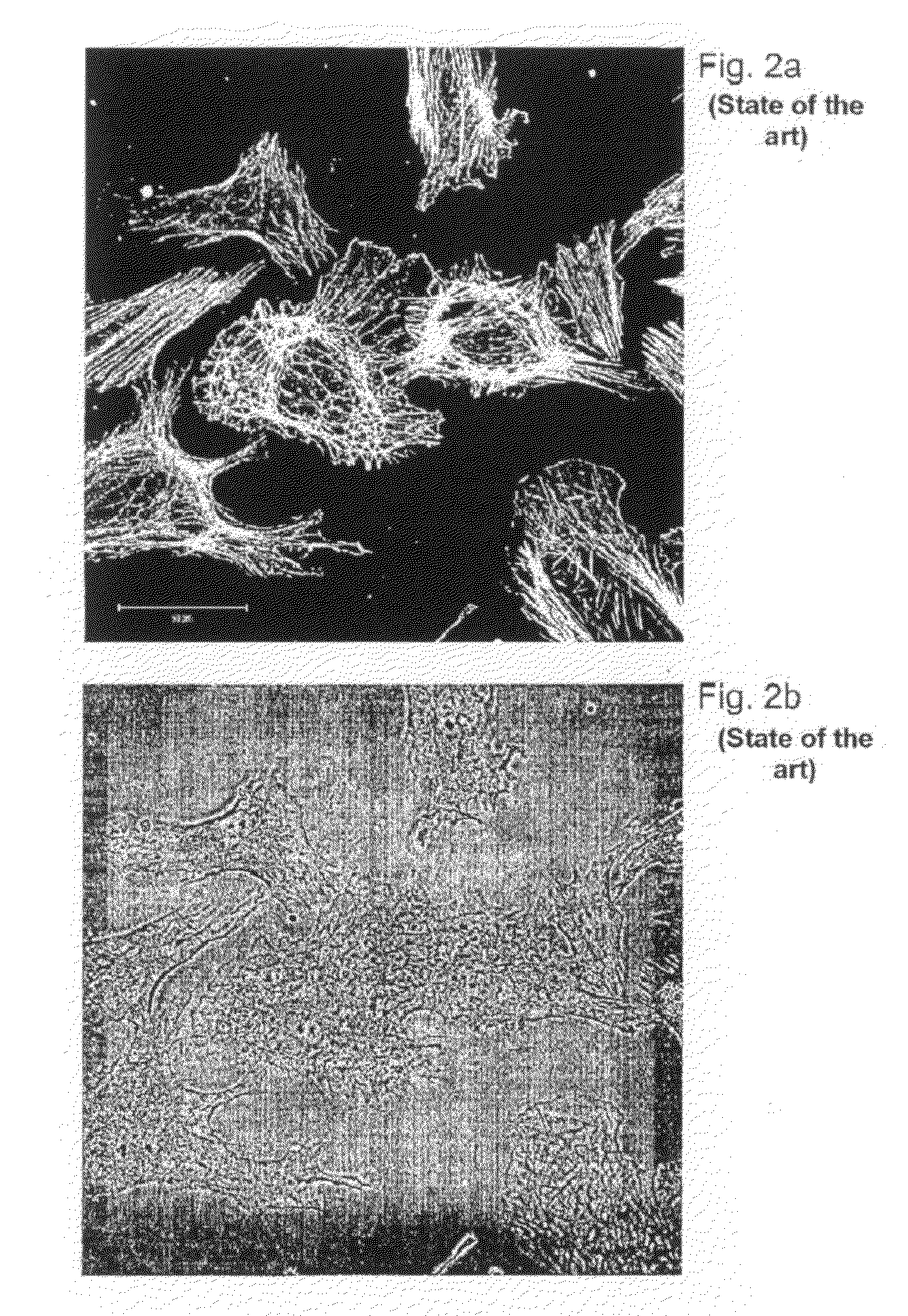 Cell culture apparatus, method for producing the apparatus and cell culture method