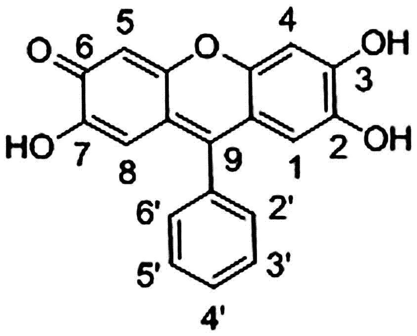 Preparation method and application of 9,9′-(4,4′-biphenyl)bisfluorone brominated reagent