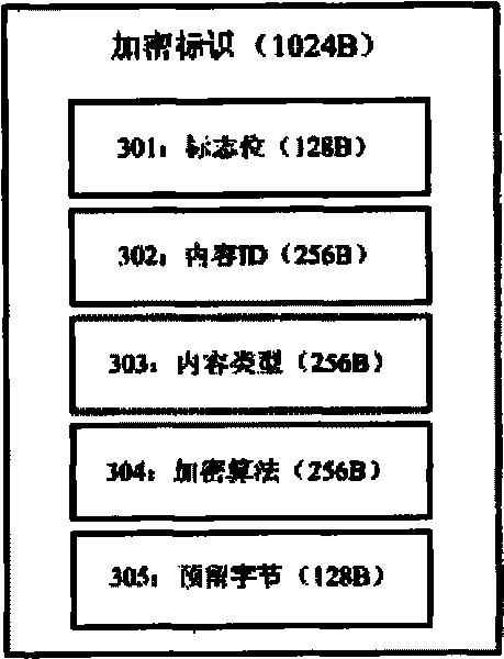 Digital content safeguard system based on transparent encryption and decryption method thereof