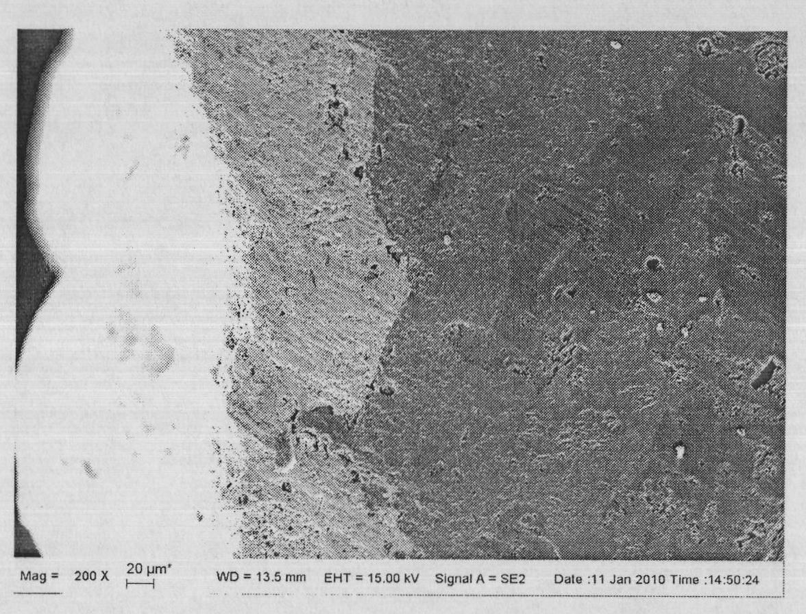 Method for preparing carborundum-coke ytterbium silicate composite coating on surface of carbon/carbon composite material