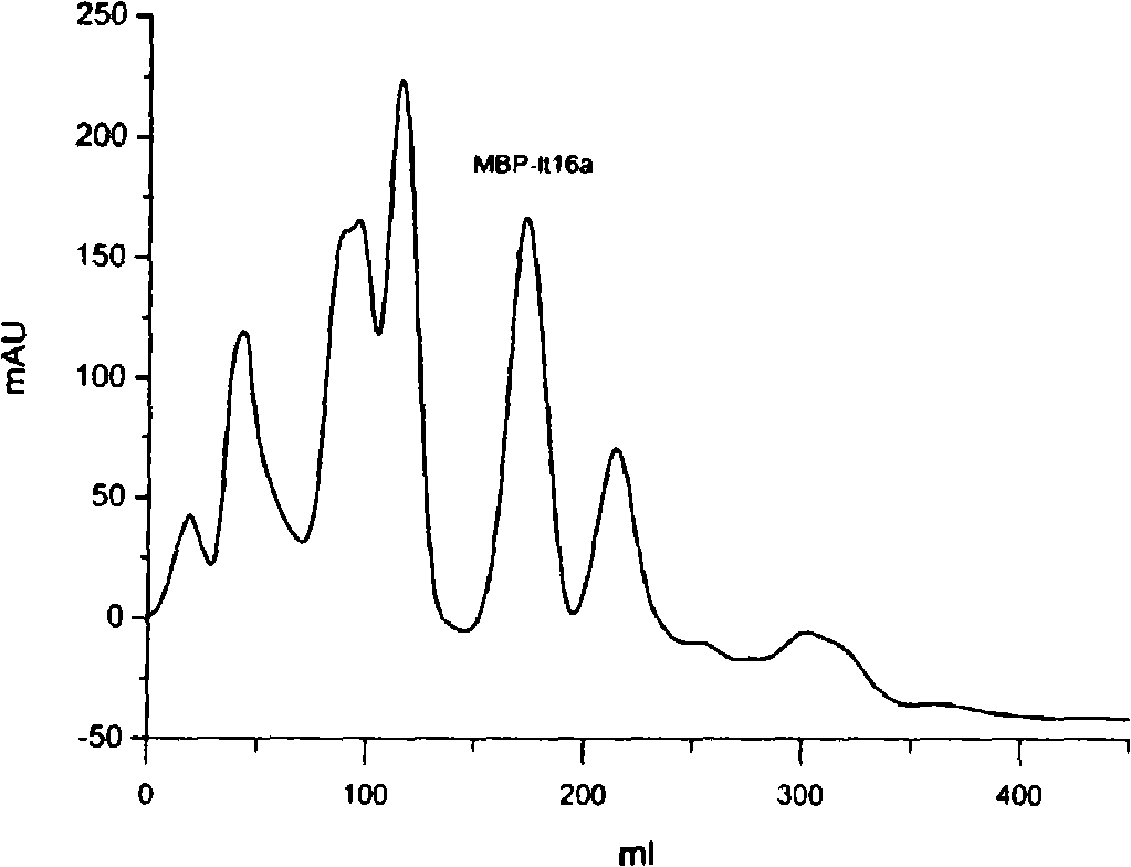 Novel conus P-superfamily toxin sequence, preparation method and uses thereof