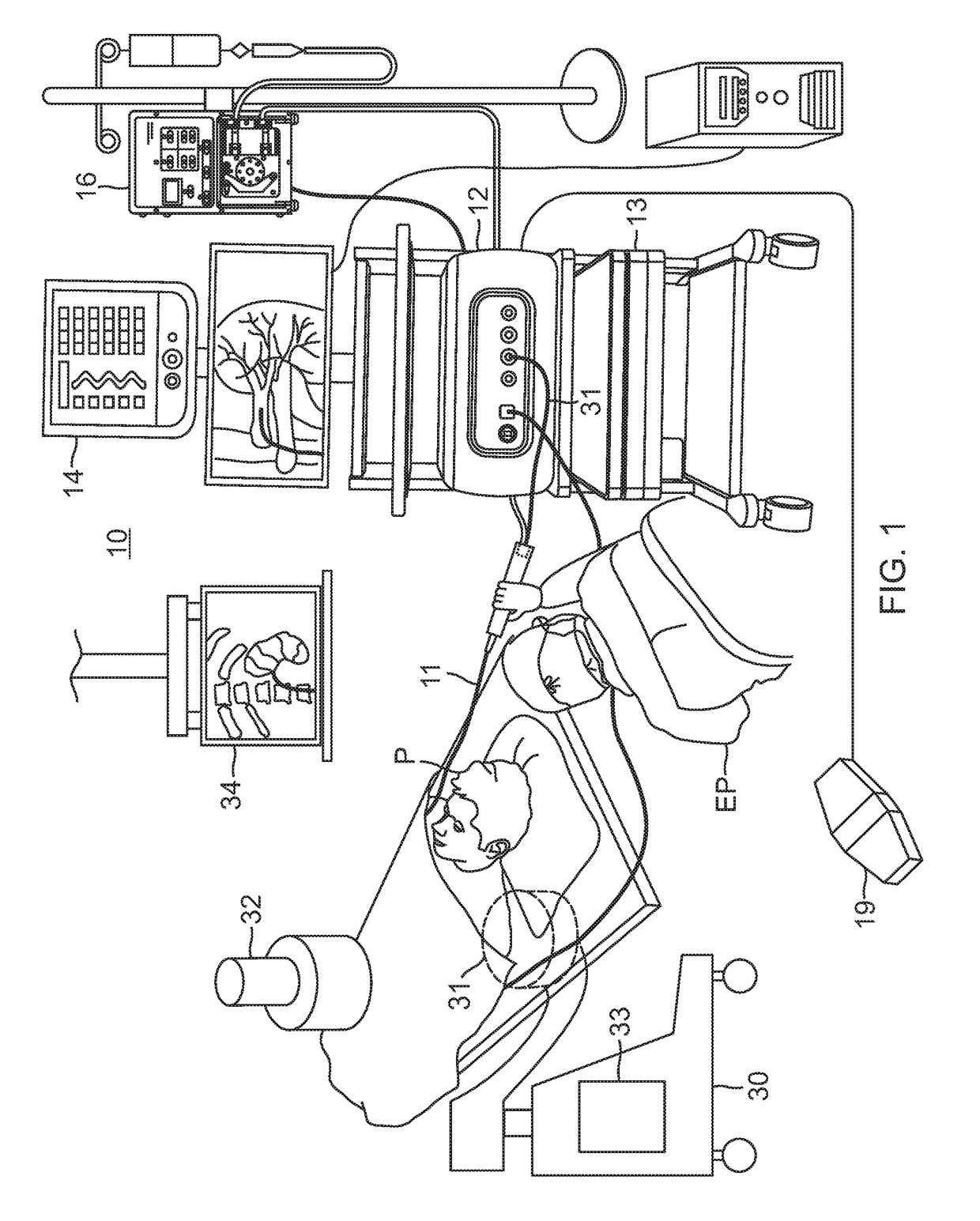 Renal ablation and visualization system and method with composite anatomical display image