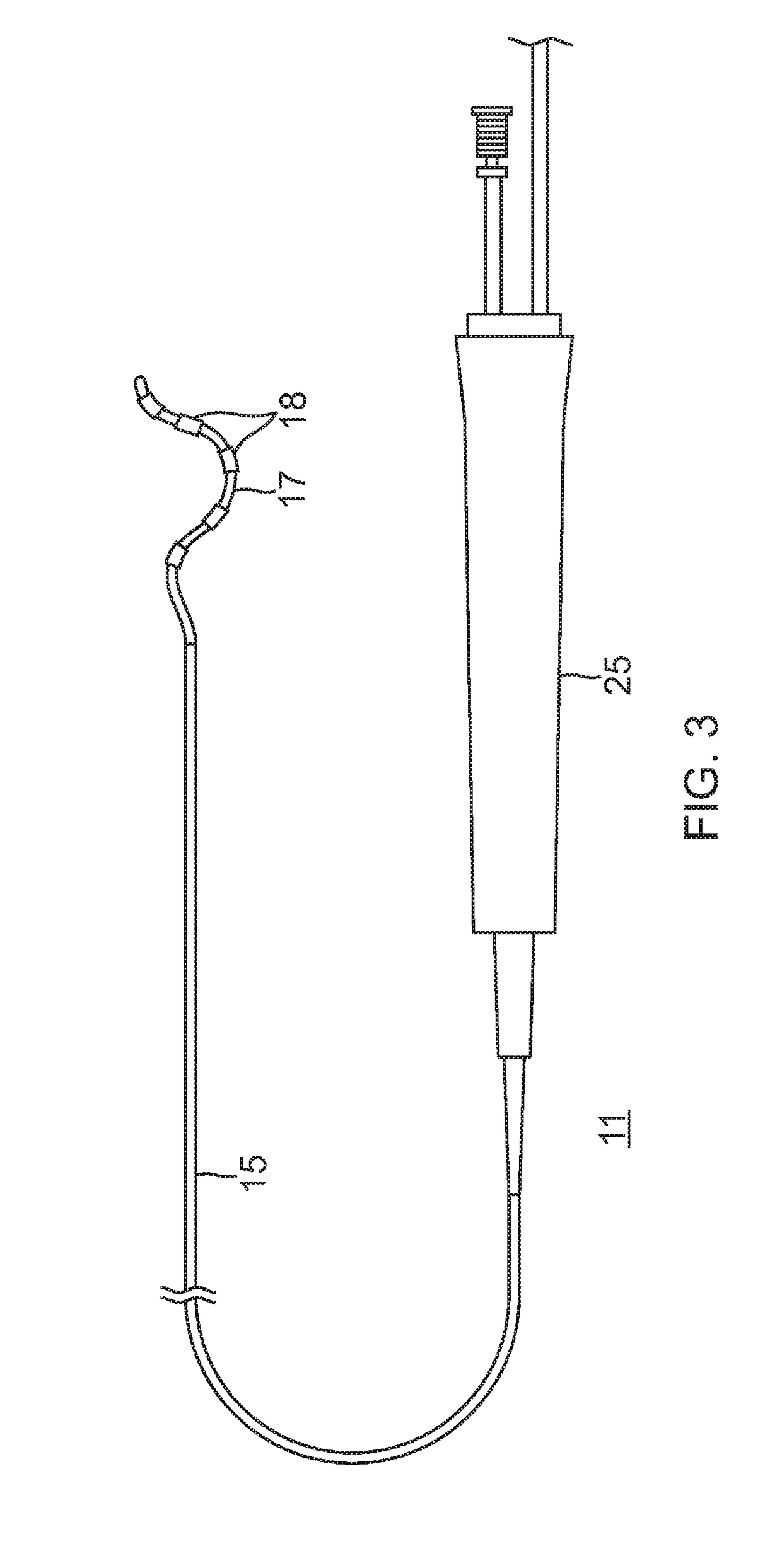 Renal ablation and visualization system and method with composite anatomical display image