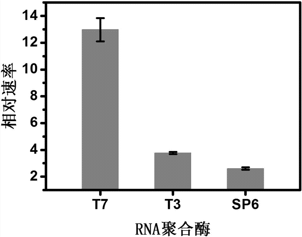 RNA (ribonucleic acid) polymerase based multiplex detection method for NTPs (nucleoside triphosphates) by adopting in-vitro transcription machine, kit and application