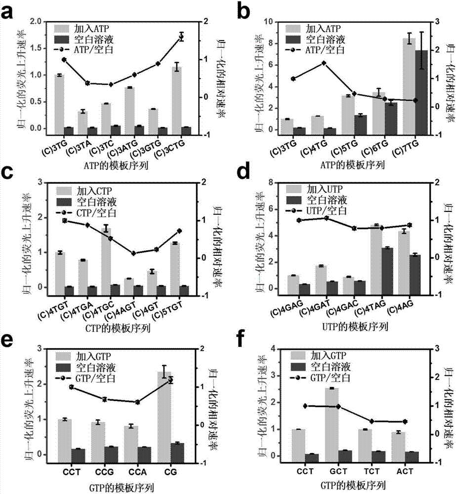 RNA (ribonucleic acid) polymerase based multiplex detection method for NTPs (nucleoside triphosphates) by adopting in-vitro transcription machine, kit and application