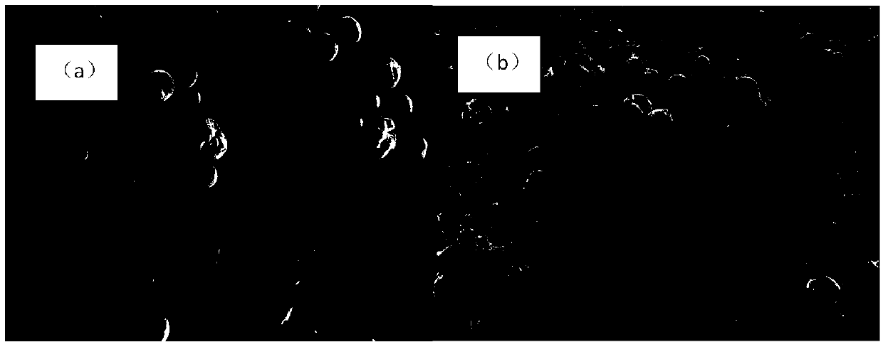 Method for preparing polylactic acid/polyglycolic acid drug-loaded microspheres with controllable drug release