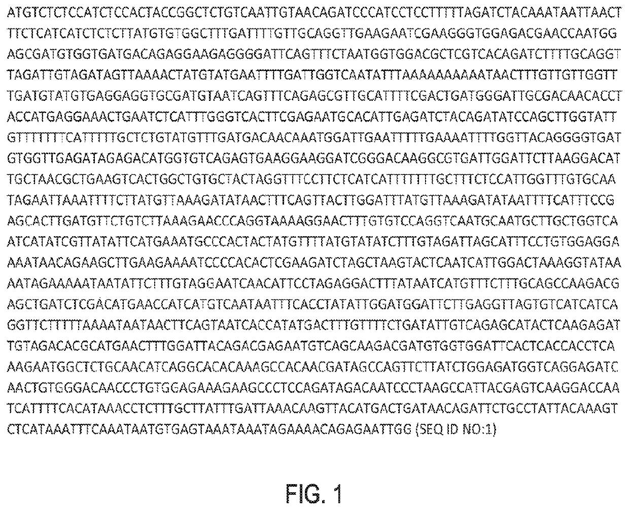 Engineered nucleases to generate deletion mutants in plants