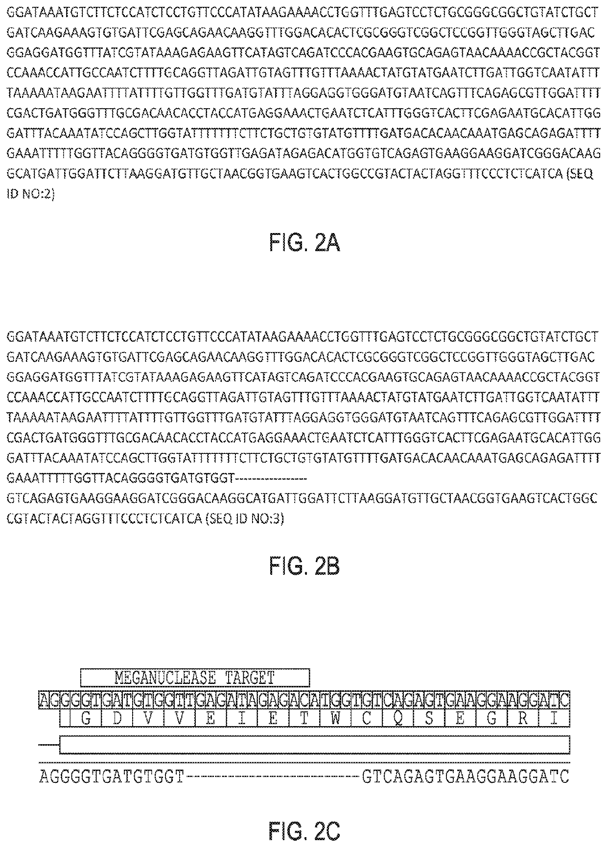 Engineered nucleases to generate deletion mutants in plants